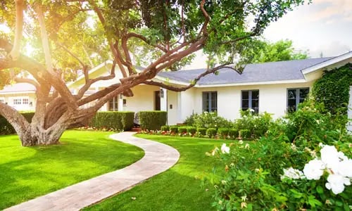 The Essential Guide to Real Estate Showings for New Agents